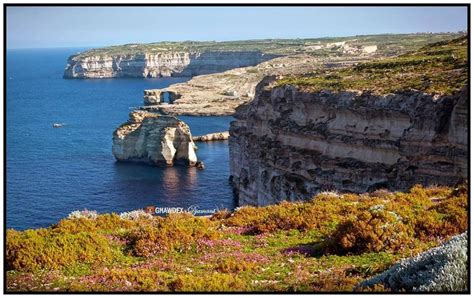 st andrews divers cove gozo.